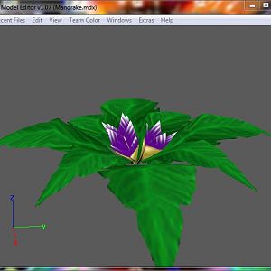 Mandrake Plant