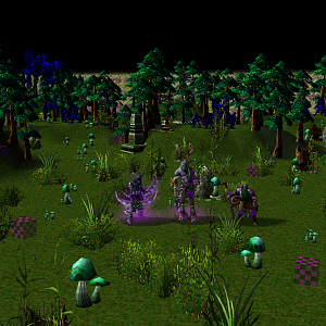 Night Elf Heroes