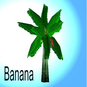 Banana