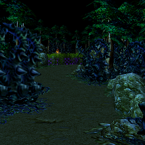 A picture of the jungle where the creeps are.