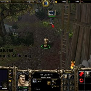 Manual Attack