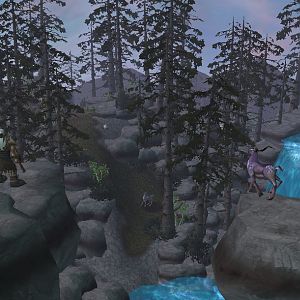 Terrain