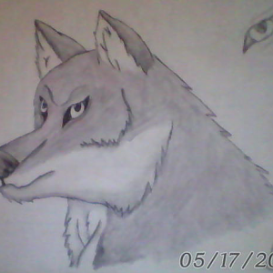 Wolf 2
