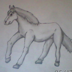 Horse