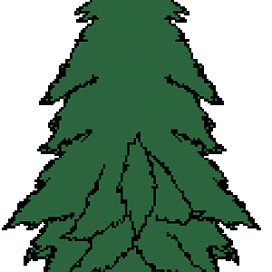 pine1