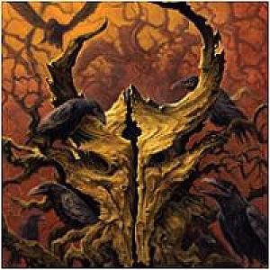 ancient skull