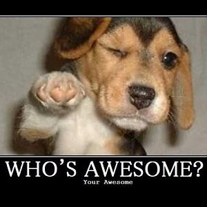 whos awesome>> ur awesome!