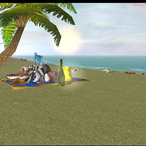 Holiday