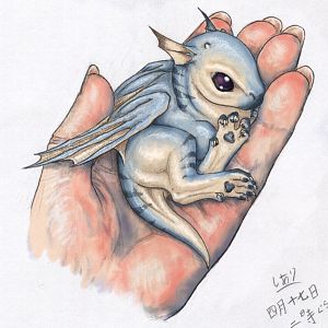 BabyDragon