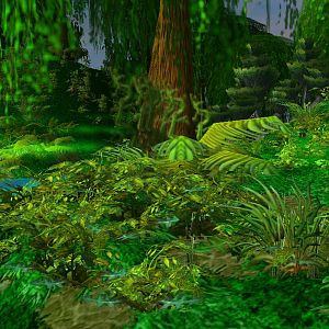 Jungle with River