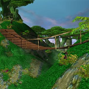 Jungle
