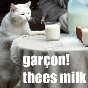 garcon mike