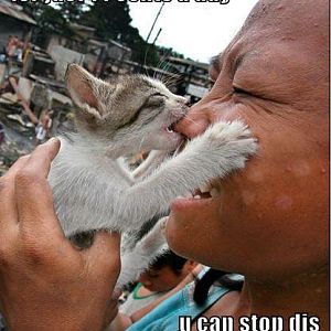 funny pictures 15 cents stop