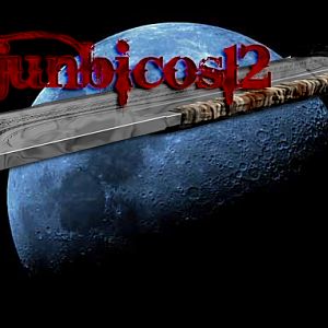 Junbicos12 Version2