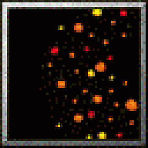 dfsdf45