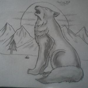 Wolf