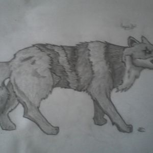 Another Wolf