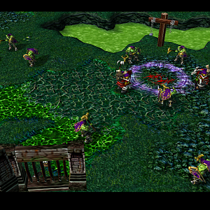 Warlocks and necrolytes perform a dark ritual