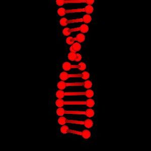 My DNA science project :D