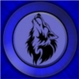 BlueWolf
