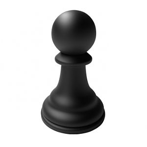 The actual pawn model that I want to make