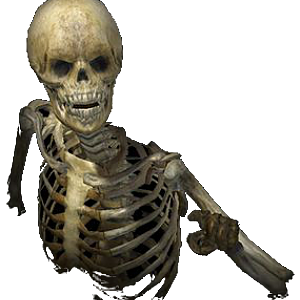 skeleton3