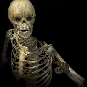 skeleton