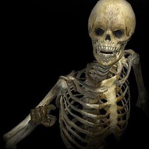 skeleton2