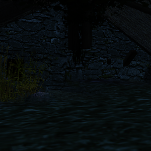 Inside a building in Driftmire that has been flooded and fallen into shambles.