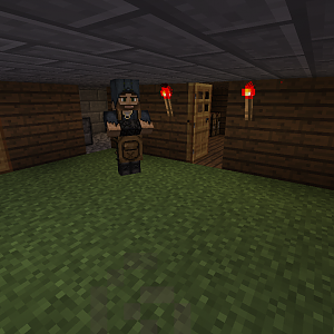 2012 11 12 16.11.24
I use gamemode only for villagers