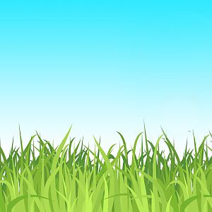 Cartoon Grass Logo1
