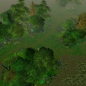 IID terrain40