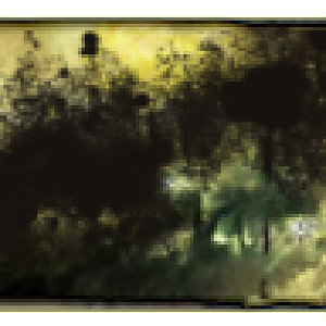 Images