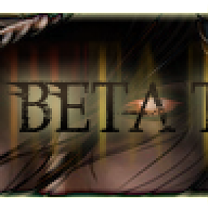 Beta Testers copy