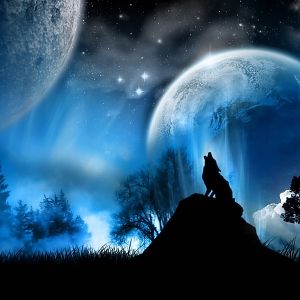 noite e lobo wallpaper 11288