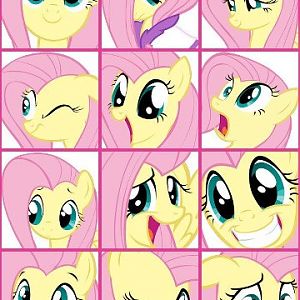 fluttershy1