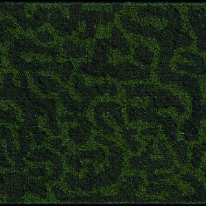 Entire Map Screenshot
