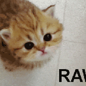 scawy
