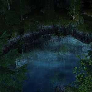 Forest Lake2