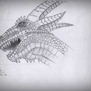 Dragon Head
