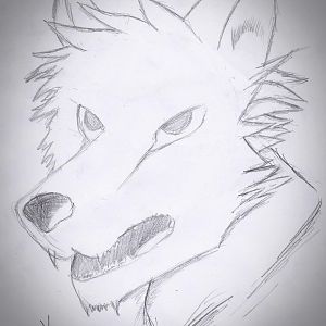 Little Worgen