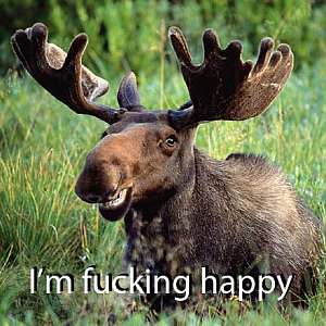 moose smiles