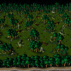 Ashen Forest New
