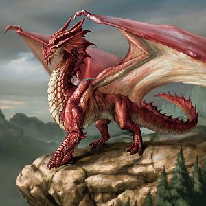 Red Dragon3