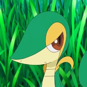 Smugleaf