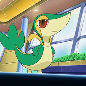 Snivy pokemon 20318694 637 359
