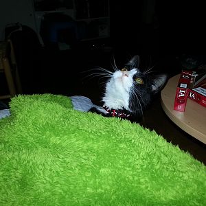 20130121 013244