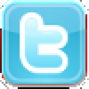 twitter icon