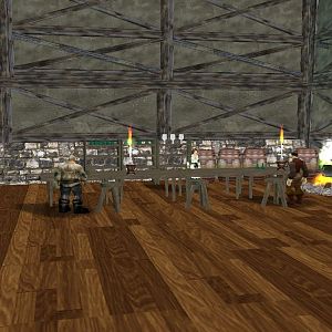 A screenshot from the inside of the Outskirts Tavern, a few zones west of the starting zone. You will be able to walk into most large buildings throug