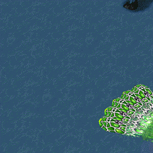 Gross Missile